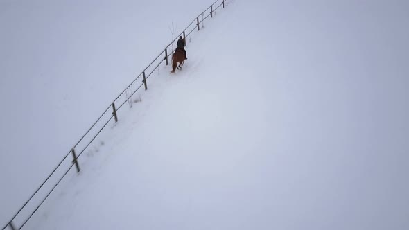 Woman on Galloping Horse in Snow up Hill