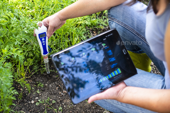 PH meter tester in soil. Measure soil with digital device and tablet. Woman farmer in a garden. - Stock Photo - Images