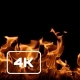 Fire - VideoHive Item for Sale