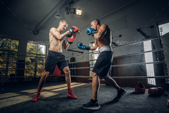 Two sportive men have a boxing competition on the ring Stock Photo by  fxquadro