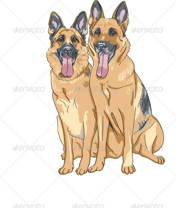 Two Dog German Shepherd Breed