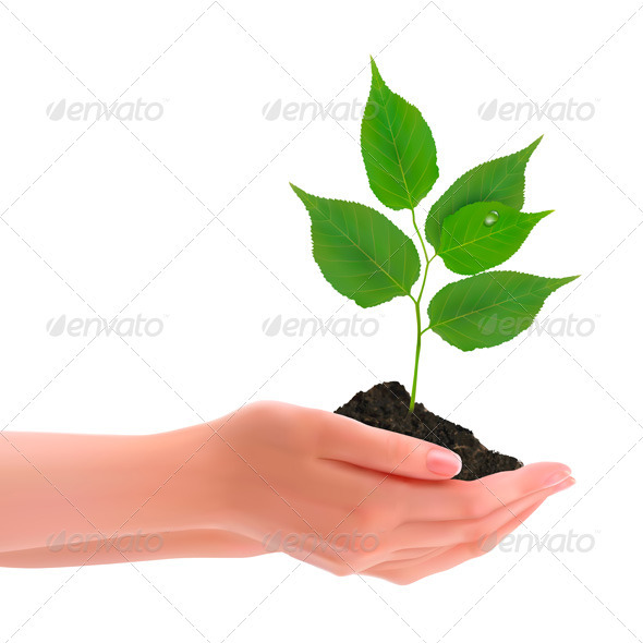 Hands holding young plant. Vector - Flowers & Plants Nature