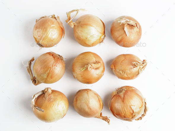 Onion seamless pattern isolated on white
