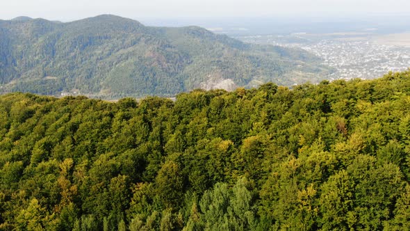 Aerial View Mountain with Trees in Autumn