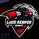 Grim Reaper Esport, Vectors 