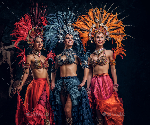 Three beautiful women in traditional brazilian carnival costumes Stock  Photo by fxquadro, carnaval costume 