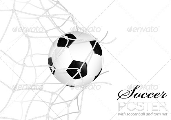 Soccer Ball in Net