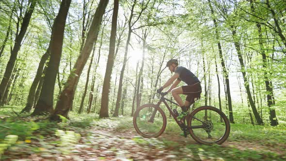 A Cyclist is Riding at High Speed Through the Forest alt