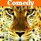 Comedy Quirky Pack