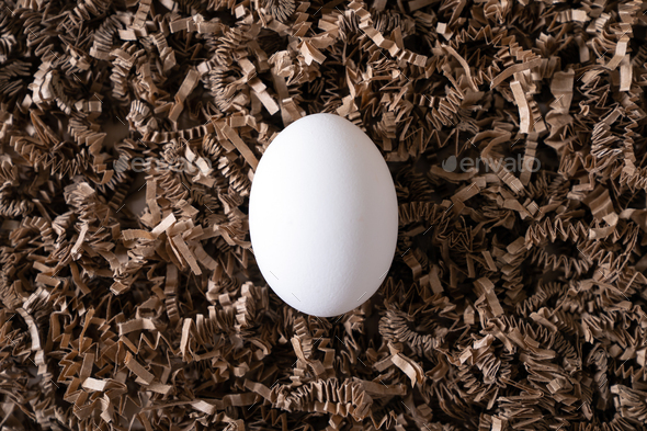 One white chicken eggs on nest