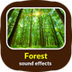 Forest Sound Effects