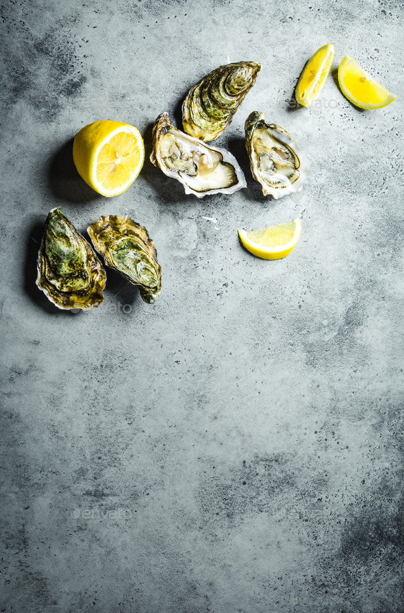 Fresh oysters on ice - Stock Photo - Images