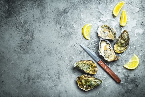 Fresh oysters on ice - Stock Photo - Images