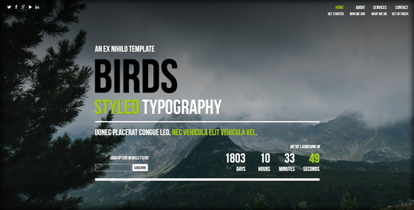 Birds Responsive - ThemeForest 7932615