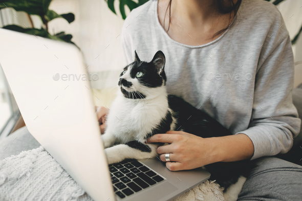 Young woman using laptop and cute cat sitting on keyboard