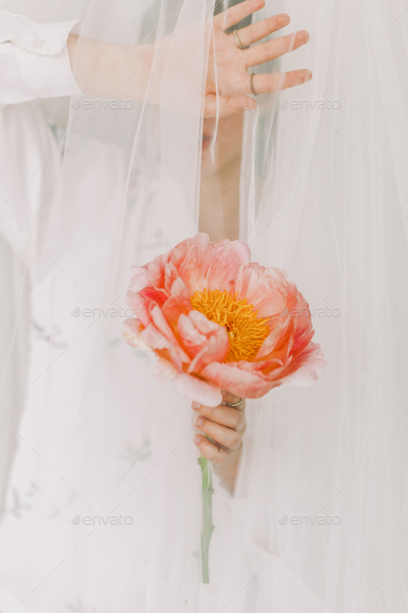 Woman behind veil holding pink peony. Stylish girl under tulle gently holding peony flower - Stock Photo - Images