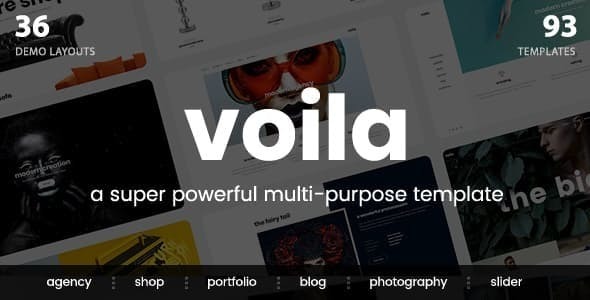 Voila - A Powerful Multi-Purpose Portfolio Template