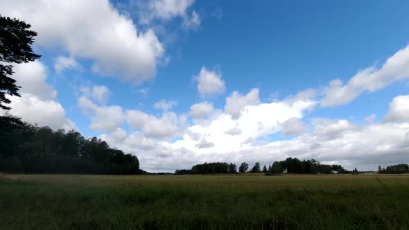 Time lapse landscape fluffy cloud sky flowing on natural forest on morning alt
