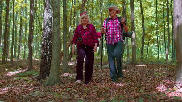 Senior Active Hikers Grandmother Grandfather Training Nordic Walking with Trekking Poles in Forest alt