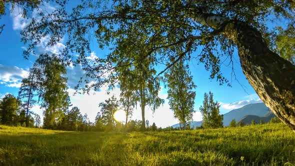 Mountain Meadow Time-lapse at the Summer or Autumn Time. Wild Nature and Rural Field. Motorised alt