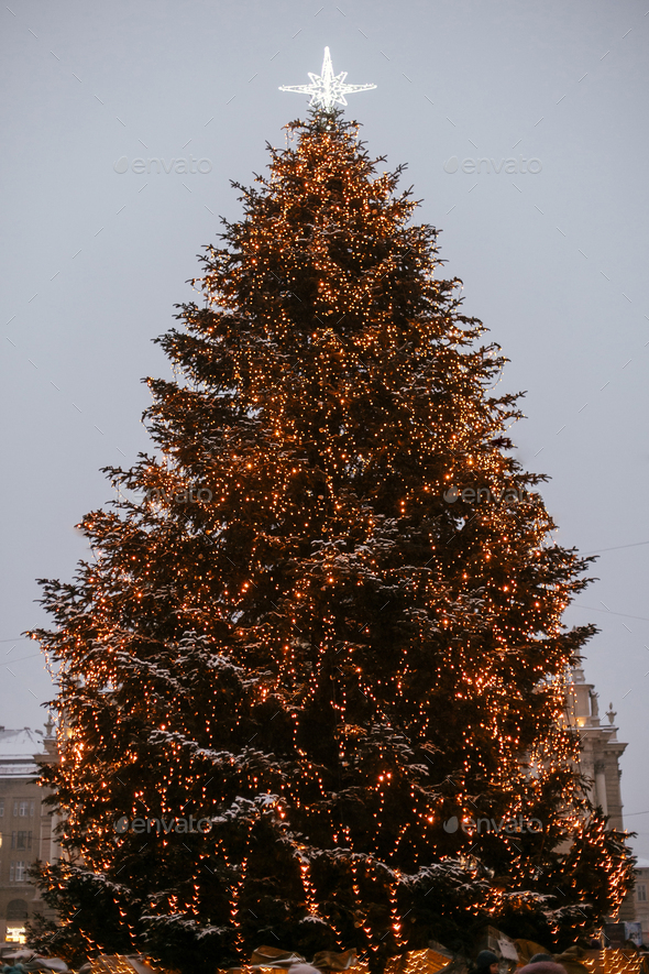 Stylish christmas tree with golden lights and illuminated star on top in european city center - Stock Photo - Images