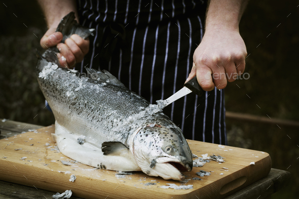 Close up of a chef scaling a fresh fish.