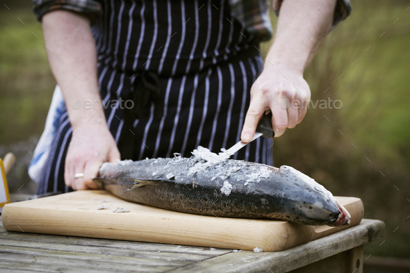 Close up of a chef scaling a fresh fish.