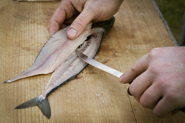 Close up of a chef filleting a fresh Mackerel. - Stock Photo - Images
