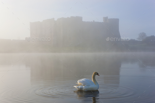 Swan on a moat covered in mist, with medieval castle in the distance.
