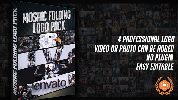Multi Video Folding Logo Pack