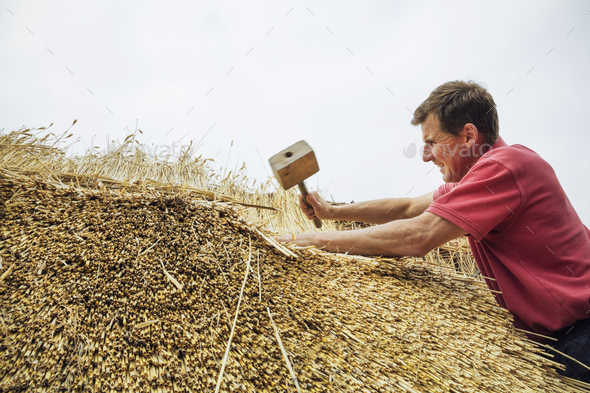 Man thatching a roof, using a wooden mallet to fasten the straw.