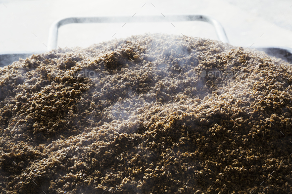 Close up of a steaming heap of spent grain, heated during the brewing process. - Stock Photo - Images
