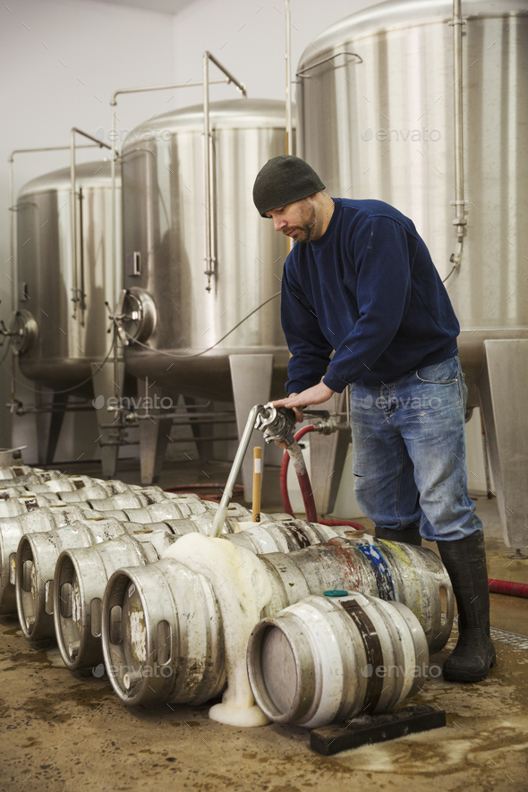 Man filling metal beer kegs with foaming beer from the fermentation chambers in a brewery.