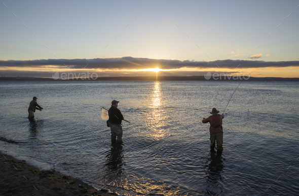 Two fly fishermen cast for searun coastal cutthroat trout and salmon at sunrise with their guide - Stock Photo - Images