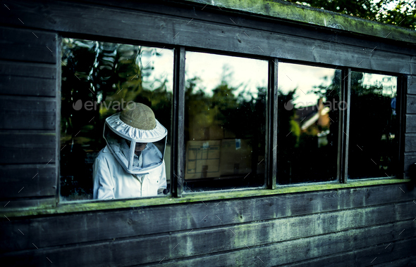 A beekeeper wearing a veil seen through the window of a garden shed. - Stock Photo - Images