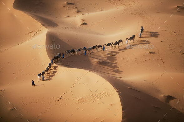 The setting sun over the desert makes a enchanting shadow as a caravan of camel merchants winds - Stock Photo - Images