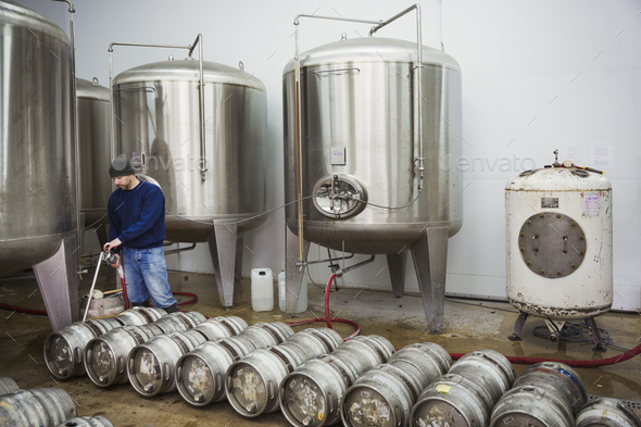 A man filling metal beer kegs from large fermentation tanks in a brewery.