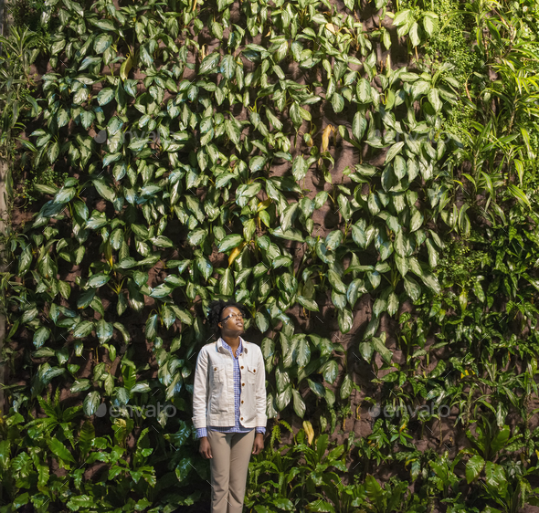 A woman looking up at a high wall covered in climbing plants and foliage. - Stock Photo - Images