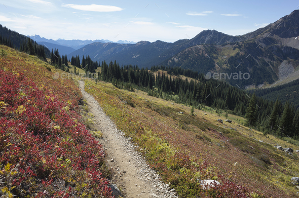 Hiking trail in the North Cascades, Pacific Crest Trail through pristine alpine wilderness, autumn, - Stock Photo - Images