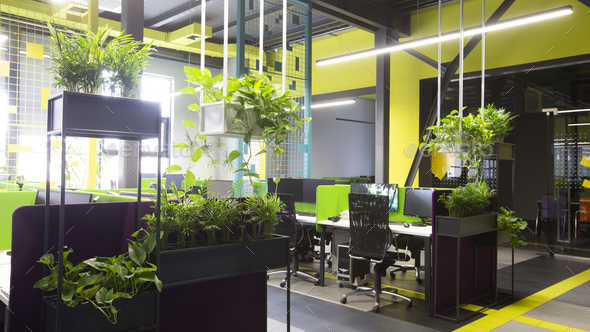 Modern natural office interior with green plants and computers