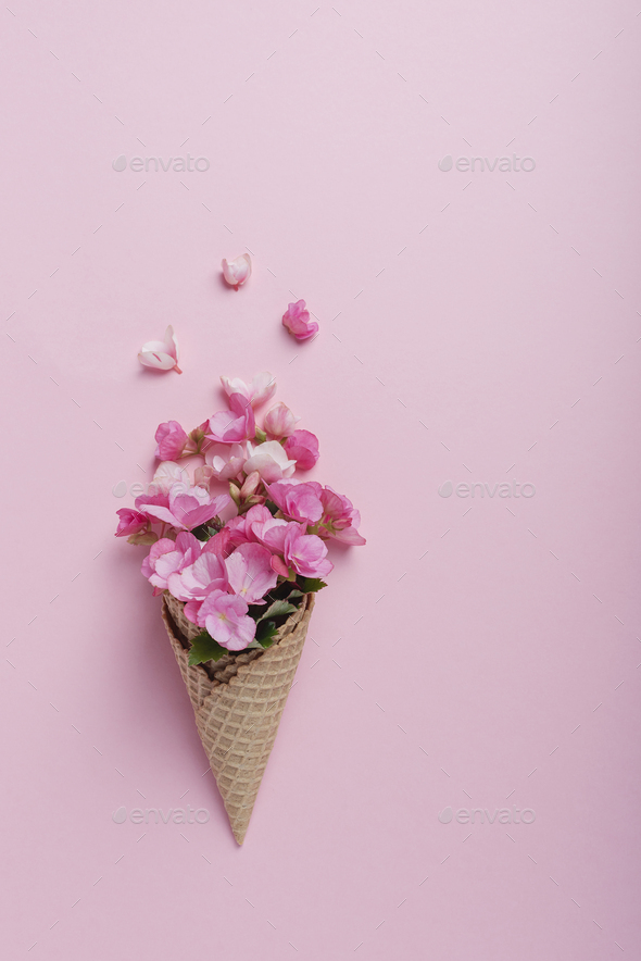 Summer minimal concept. - Stock Photo - Images