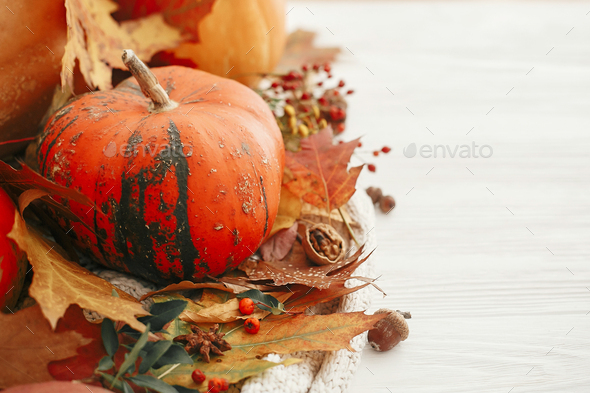Happy Thanksgiving. Pumpkins with fall leaves - Stock Photo - Images