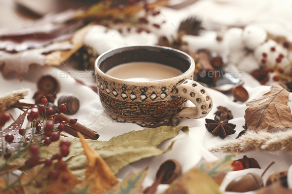 Coffee cup with fall leaves,berries, anise,herbs, acorns, nuts , cinnamon, cotton - Stock Photo - Images