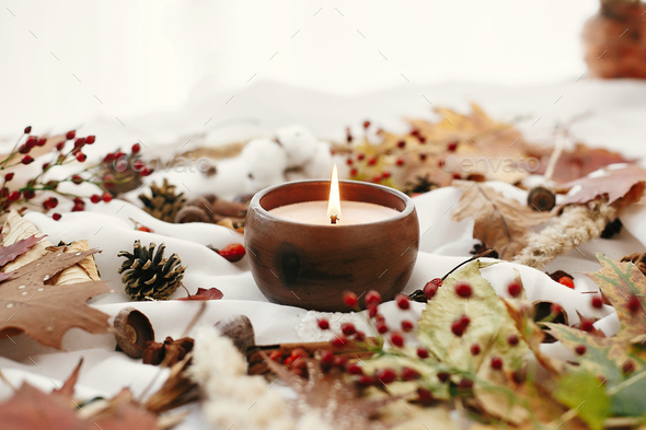 Candle with berries, fall leaves. Autumn mood. Hello autumn, cozy inspirational image. - Stock Photo - Images