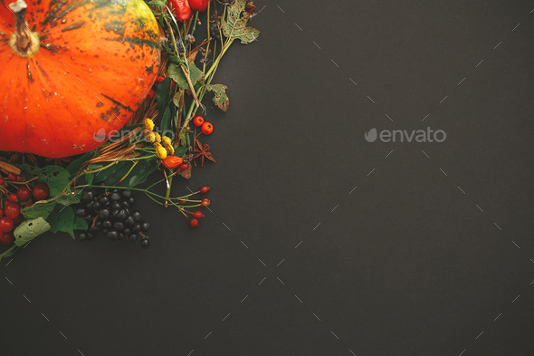 Autumn flat lay. Pumpkin in autumn wreath of fall leaves - Stock Photo - Images