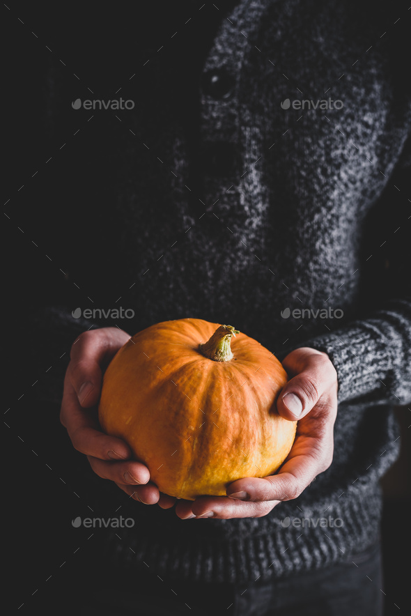 Man holding small pumpkin in hands - Stock Photo - Images