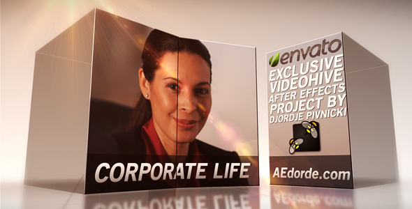 Corporate Life - VideoHive 2531063