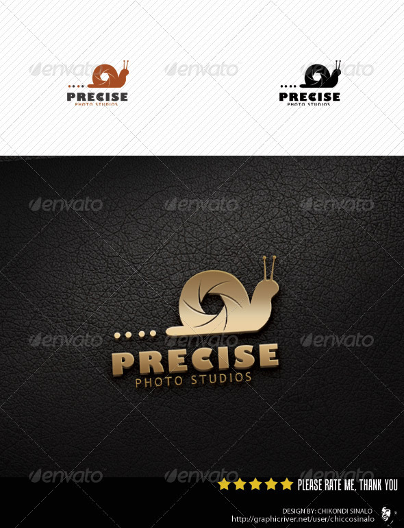 Precise Photo Studio Logo Template - Abstract Logo Templates