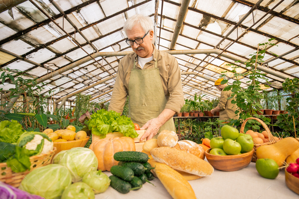 Senior farmer preparing his organic products at market