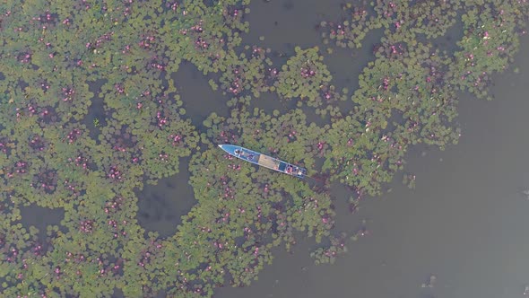 Boat in Lake with Lotus alt